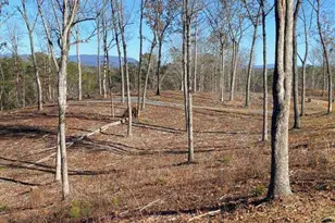 170 Oak Wood Ln, Ellijay, GA 30540 - Photo 52