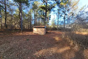 3691 Holley Ct, Lizella, GA 31052 - Photo 6