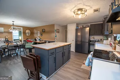 2151 Blue Creek Road, Hogansville, GA 30230 - Photo 12