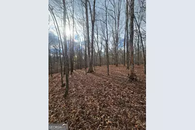 00 Martin Mill Road, Eatonton, GA 31024 - Photo 20