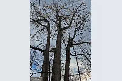 00 Martin Mill Road, Eatonton, GA 31024 - Photo 4