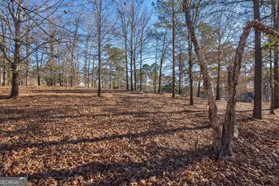 1051 Emerald View Drive, Greensboro, GA 30642 - Photo 8