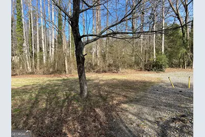 437 E Louise Street, Clarkesville, GA 30523 - Photo 4