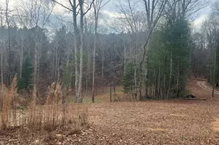 2308 Rackley Rd, Ellijay, GA 30536 - Photo 4