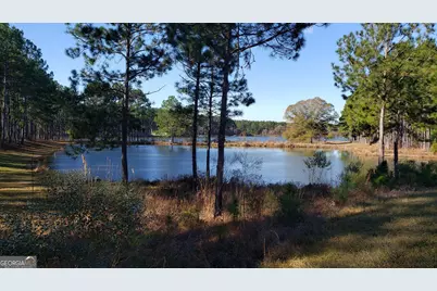 501 Southern Lakes Drive, Arabi, GA 31712 - Photo 14