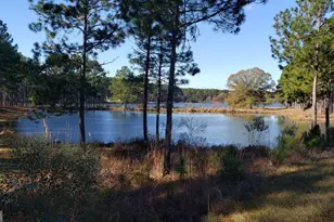 501 Southern Lakes Dr, Arabi, GA 31712 - Photo 14