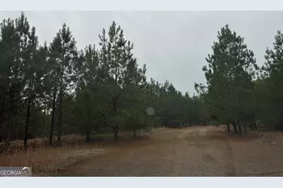 3794 Millen Highway, Sylvania, GA 30467 - Photo 14