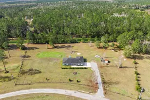 59 Pinto Ct, Woodbine, GA 31569 - Photo 6