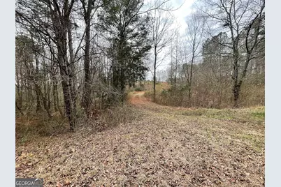 600 Reynolds Road, Woodbury, GA 30293 - Photo 4