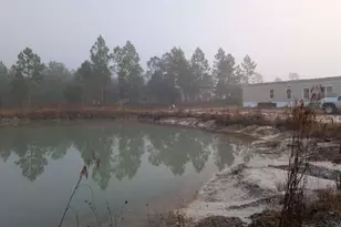 393 Crossing Dr, Nahunta, GA 31553 - Photo 6