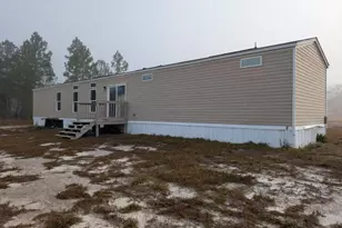 393 Crossing Dr, Nahunta, GA 31553 - Photo 2