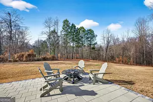 295 Walden Pond Trail, Senoia, GA 30276 - Photo 44