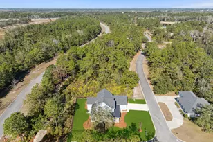 506 Blue Heron Trail, Waverly, GA 31565 - Photo 44