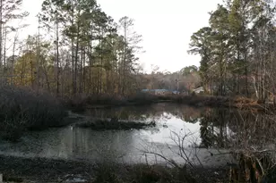 17827 Ga Hwy 129 N, Claxton, GA 30417 - Photo 4