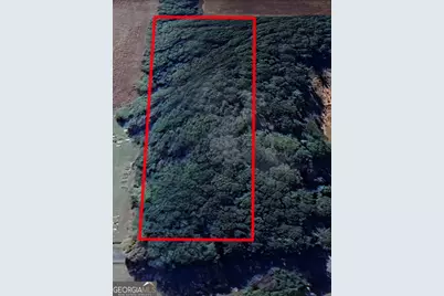 0 Wortham Road, Luthersville, GA 30251 - Photo 1