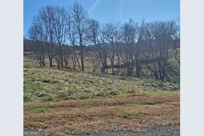 0 Big Valley Drive, Morganton, GA 30560 - Photo 6