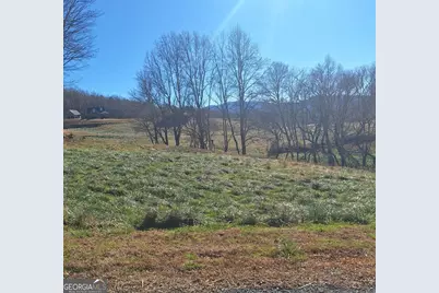 0 Big Valley Drive, Morganton, GA 30560 - Photo 2