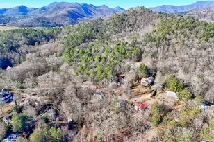 170 White St, Dillard, GA 30537 - Photo 54