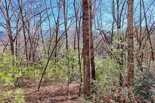 170 White St, Dillard, GA 30537 - Photo 34