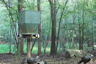 500 Old Milledgeville Rd, Cochran, GA 31014 - Photo 38