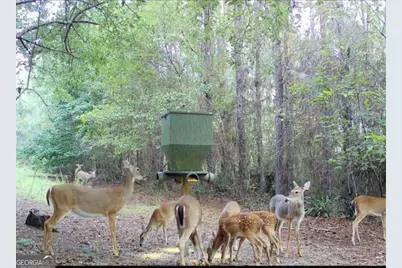 500 Old Milledgeville Road, Cochran, GA 31014 - Photo 36