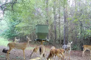 500 Old Milledgeville Rd, Cochran, GA 31014 - Photo 36