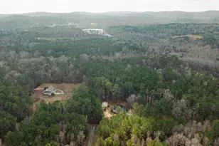 123 Rabbit Run Rd, Meansville, GA 30256 - Photo 100