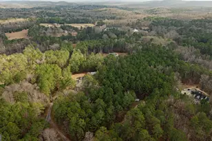 123 Rabbit Run Rd, Meansville, GA 30256 - Photo 96