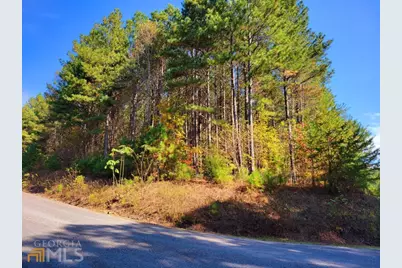 Lot 6 Black Bear Ridge Road #6, Ellijay, GA 30536 - Photo 10