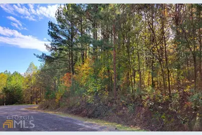 Lot 6 Black Bear Ridge Road #6, Ellijay, GA 30536 - Photo 6