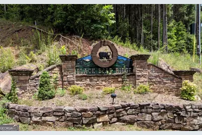 Lot 7 Ridge Top Drive #7, Ellijay, GA 30536 - Photo 18
