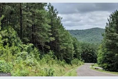 Lot 7 Ridge Top Drive #7, Ellijay, GA 30536 - Photo 16