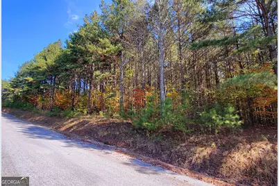 Lot 7 Ridge Top Drive #7, Ellijay, GA 30536 - Photo 6