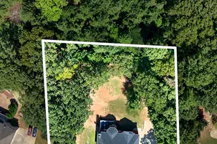 1133 Astoria Ln, Peachtree City, GA 30269 - Photo 48