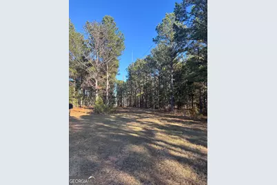 0 Geneva Highway, Talbotton, GA 31827 - Photo 1