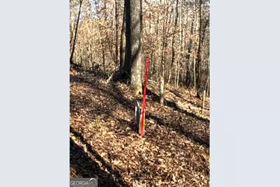 00 Geneva Highway, Talbotton, GA 31827 - Photo 12