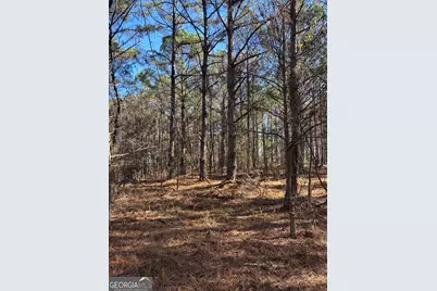 00 Geneva Highway, Talbotton, GA 31827 - Photo 2