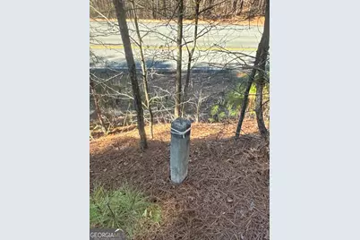 00 Geneva Highway, Talbotton, GA 31827 - Photo 14