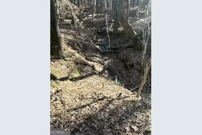 00 Geneva Highway, Talbotton, GA 31827 - Photo 6