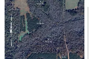 1931 Bethel Church Rd, Luthersville, GA 30251 - Photo 1