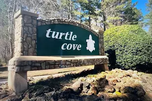 0 Turtle Cove Thruway, Monticello, GA 31064 - Photo 1