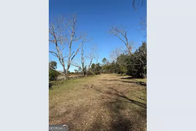 174 Baskins Road, Lakeland, GA 31635 - Photo 4