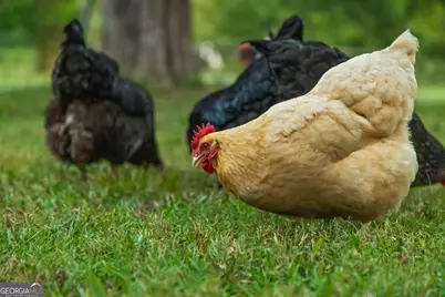 657 Brock Road, Chickamauga, GA 30707 - Photo 8