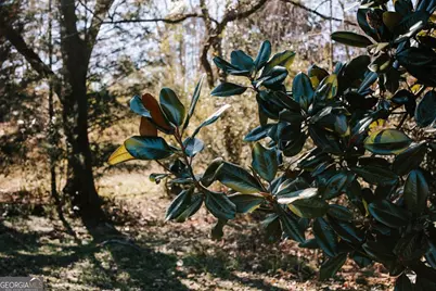 201 Main Street S, Stephens, GA 30667 - Photo 36