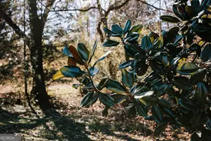 201 Main Street S, Stephens, GA 30667 - Photo 36