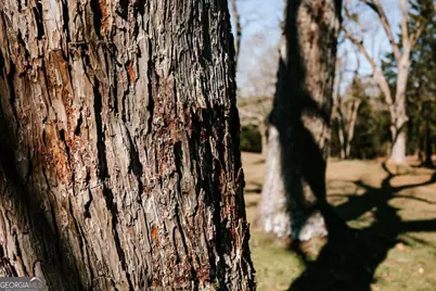 201 Main Street S, Stephens, GA 30667 - Photo 38