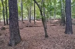 0 Old Southwick Pass, Johns Creek, GA 30022 - Photo 60
