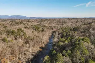 411 Gunite Cir, Ellijay, GA 30540 - Photo 82