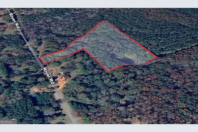 0 River Road, Warm Springs, GA 31830 - Photo 6
