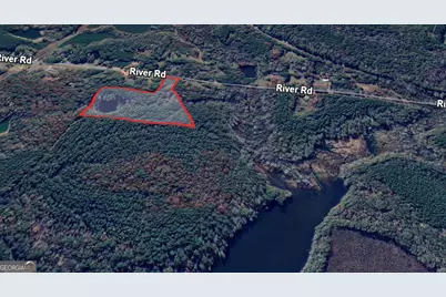 0 River Road, Warm Springs, GA 31830 - Photo 4